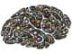 mental pickleball