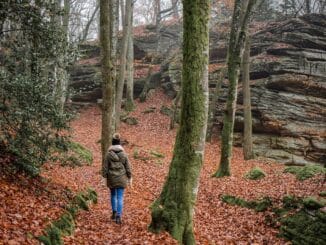 10 Bienfaits de la Randonnée : Pour le Corps et l'Esprit