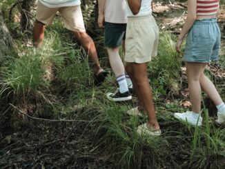 Randonnée citoyenne et inclusive : pourquoi la marche devient l’affaire de tous