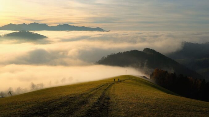 randonneurs-vs-traileurs-stop-a-la-guerre-des-sentiers-mon-p Randonneurs vs traileurs : stop à la guerre des sentiers ! Mon plan d’action concret pour cohabiter (vraiment)
