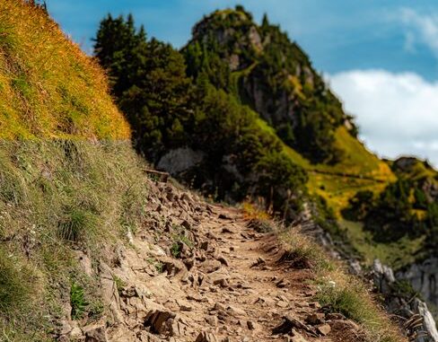 Le piège du sentier « facile » : comment lire la vraie difficulté d’une rando avant qu’il soit trop tard